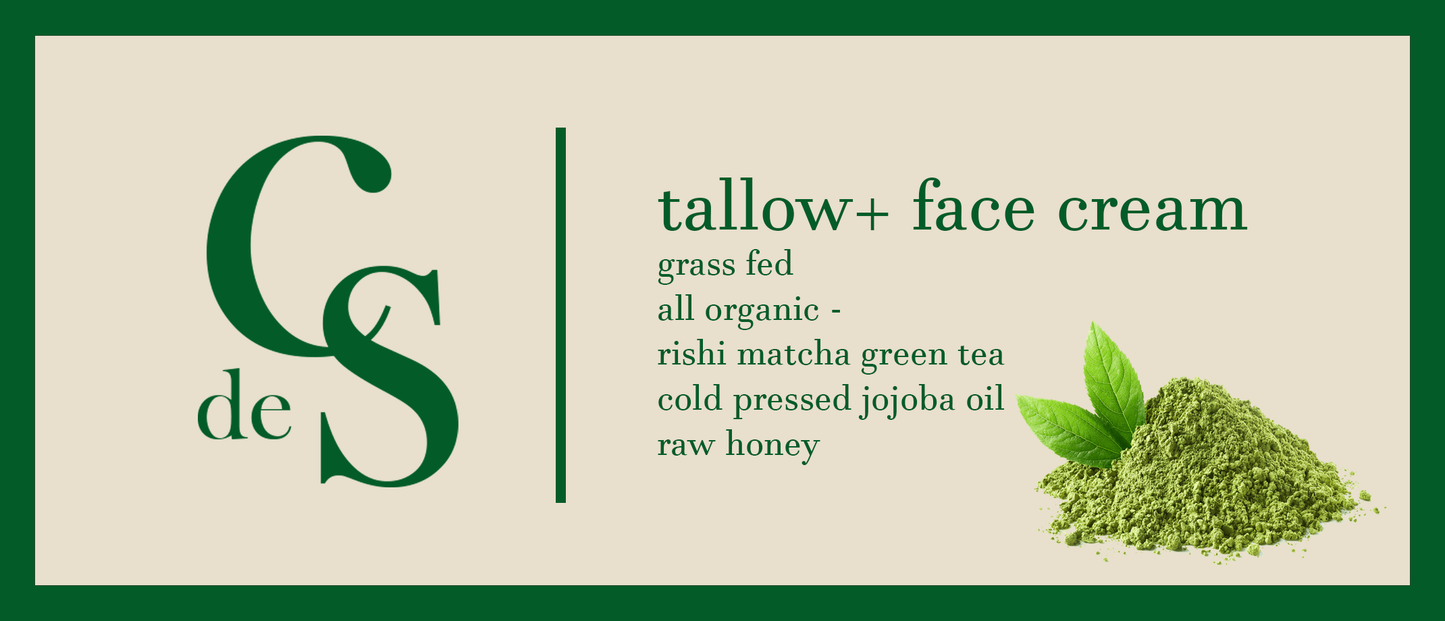 crème de suif - rishi matcha green tea tallow + face cream